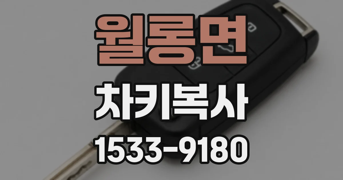 월롱면 차키복사