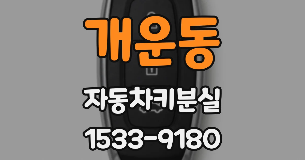 개운동 자동차키분실