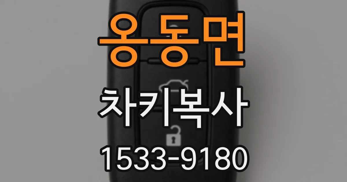 옹동면 차키복사