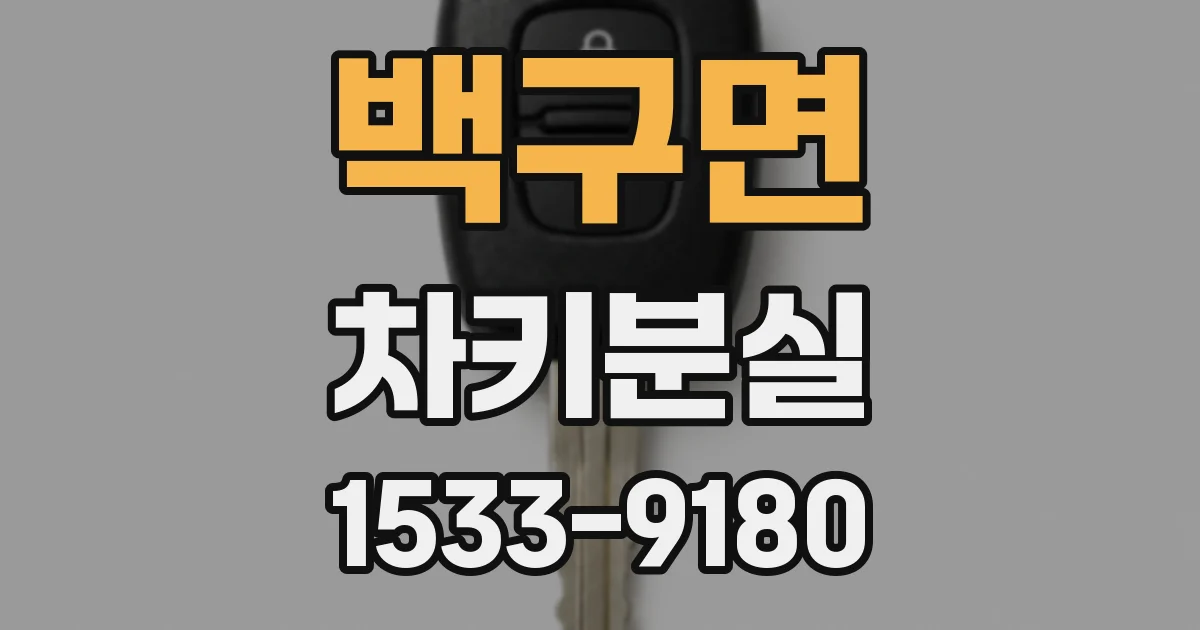 백구면 차키분실