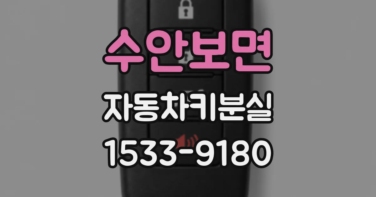 수안보면 자동차키분실