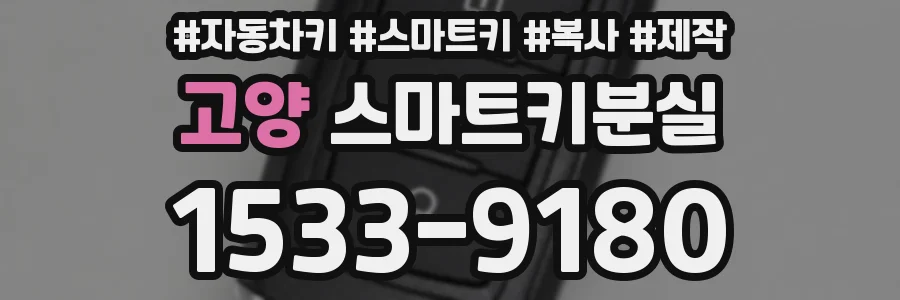 고양 스마트키분실