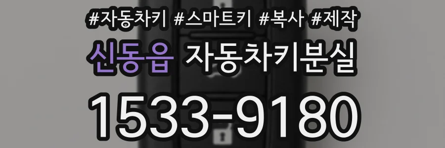 신동읍 자동차키분실