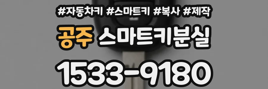 공주 스마트키분실