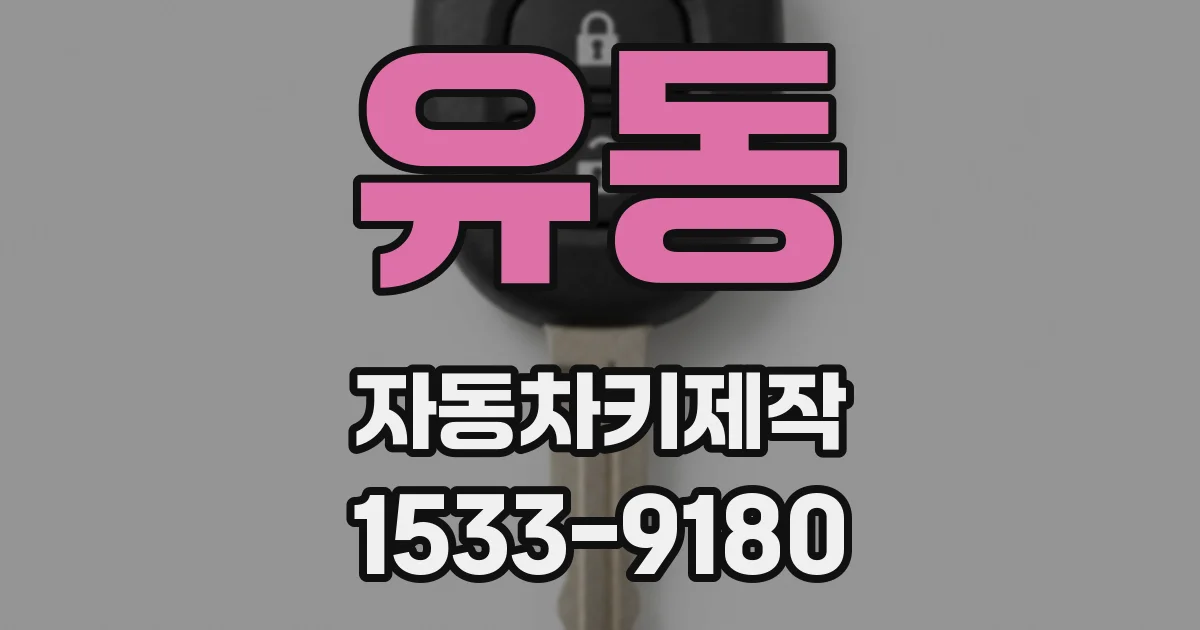 유동 자동차키제작