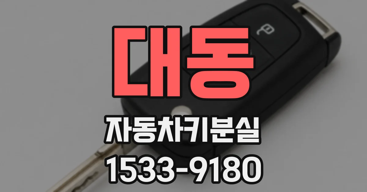대동 자동차키분실