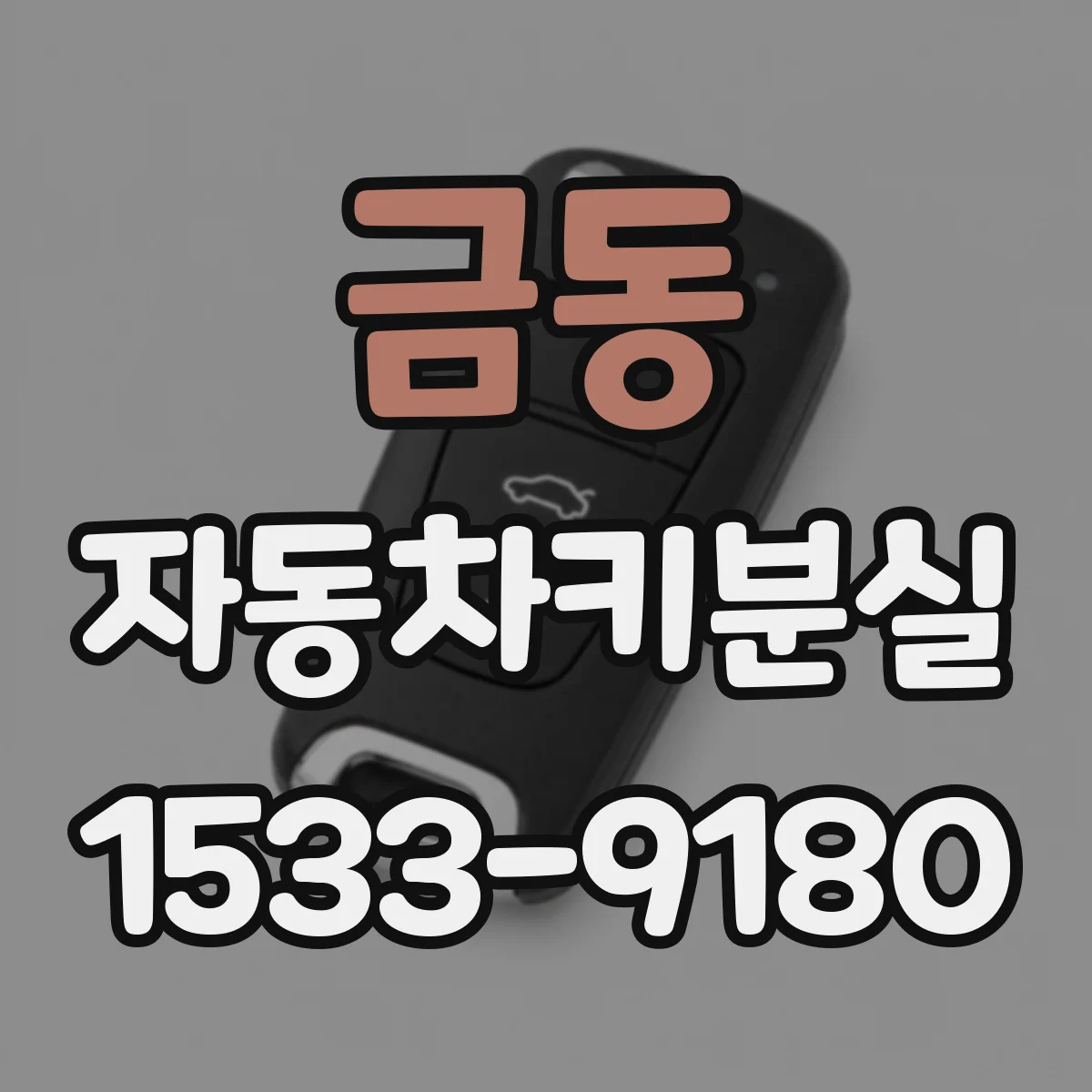 금동 자동차키분실