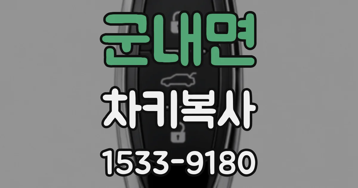 군내면 차키복사