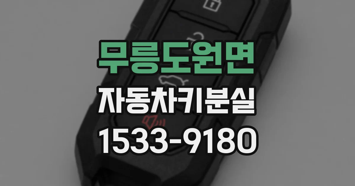 무릉도원면 자동차키분실