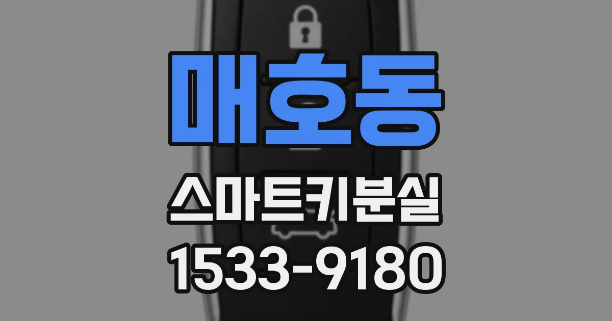 매호동 스마트키분실