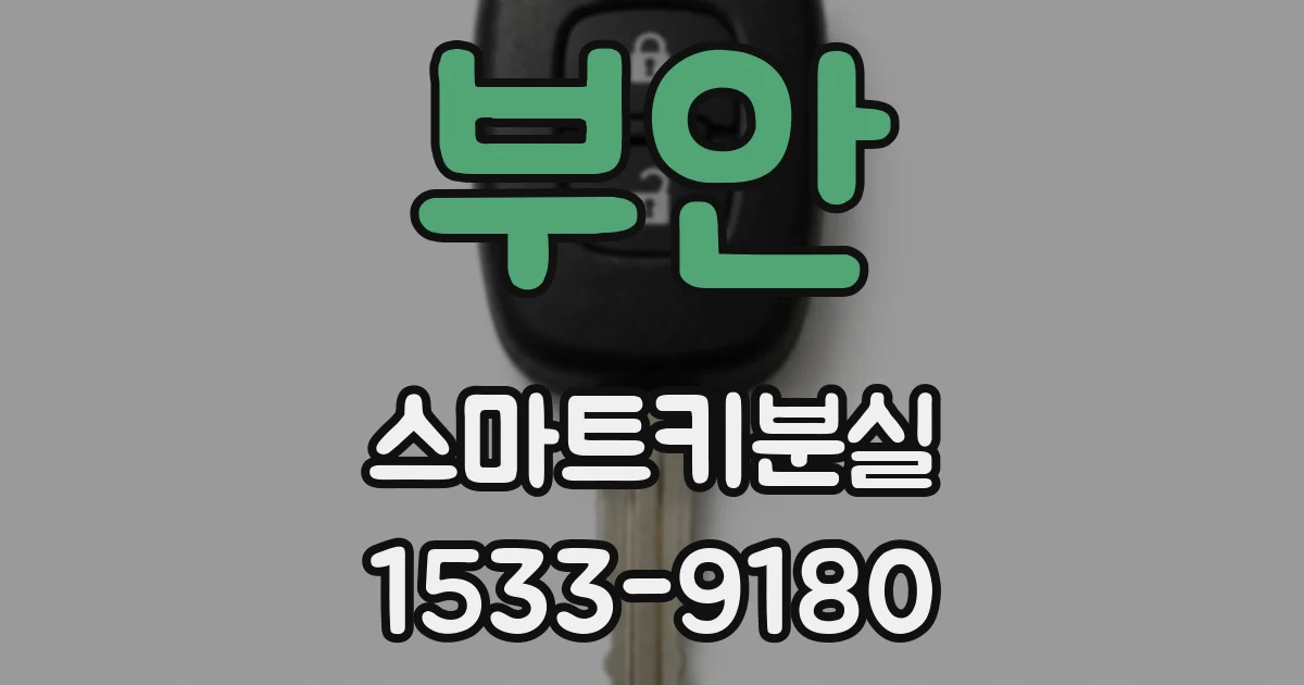 부안 스마트키분실