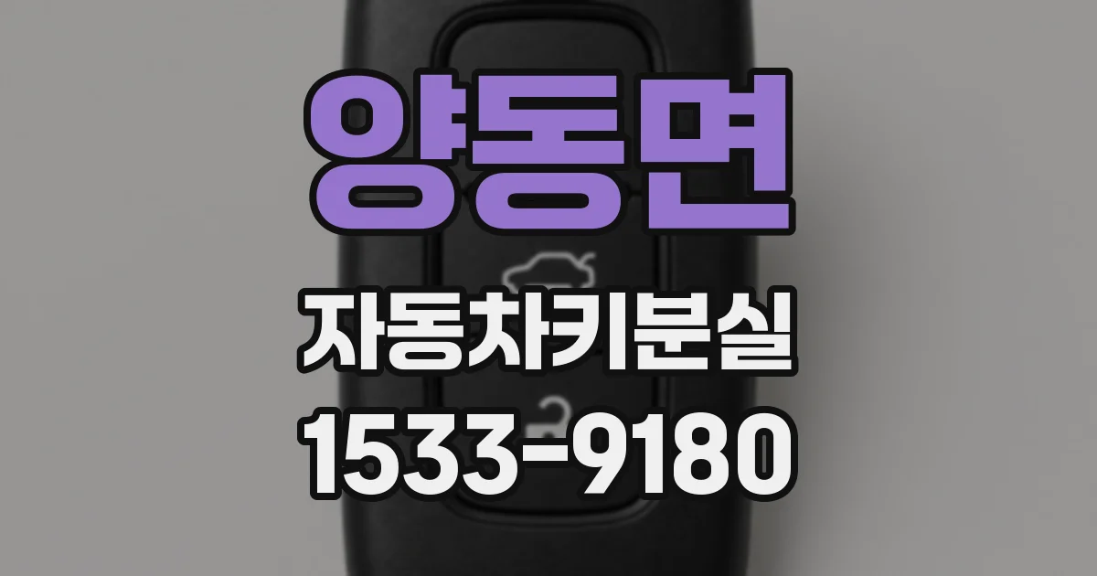 양동면 자동차키분실