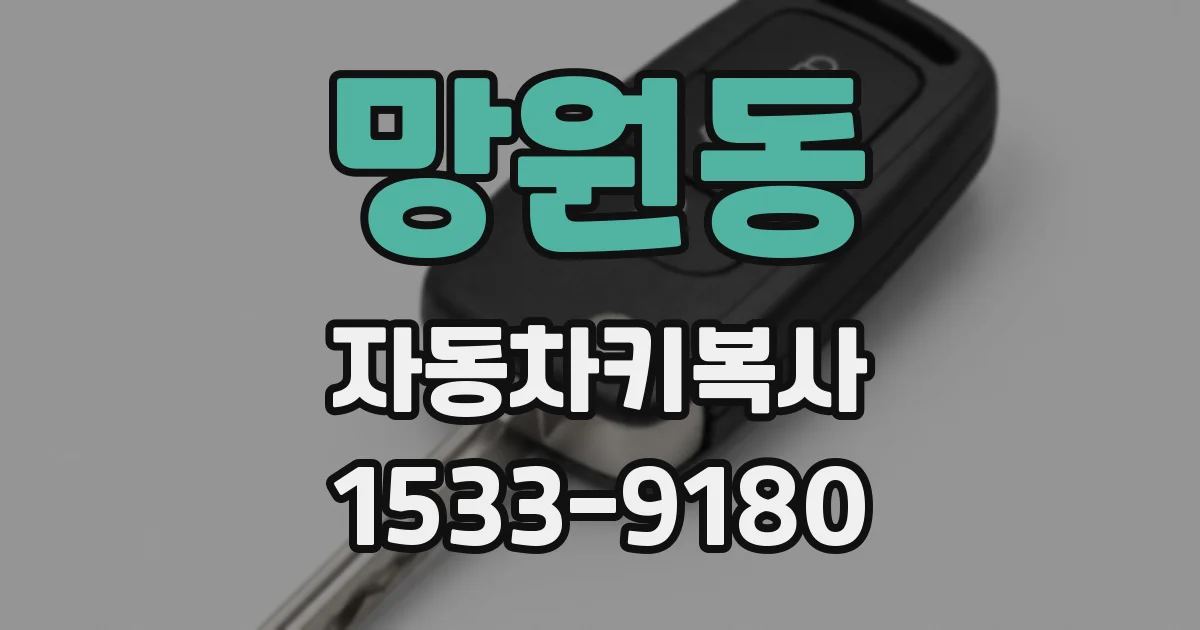 망원동 자동차키복사