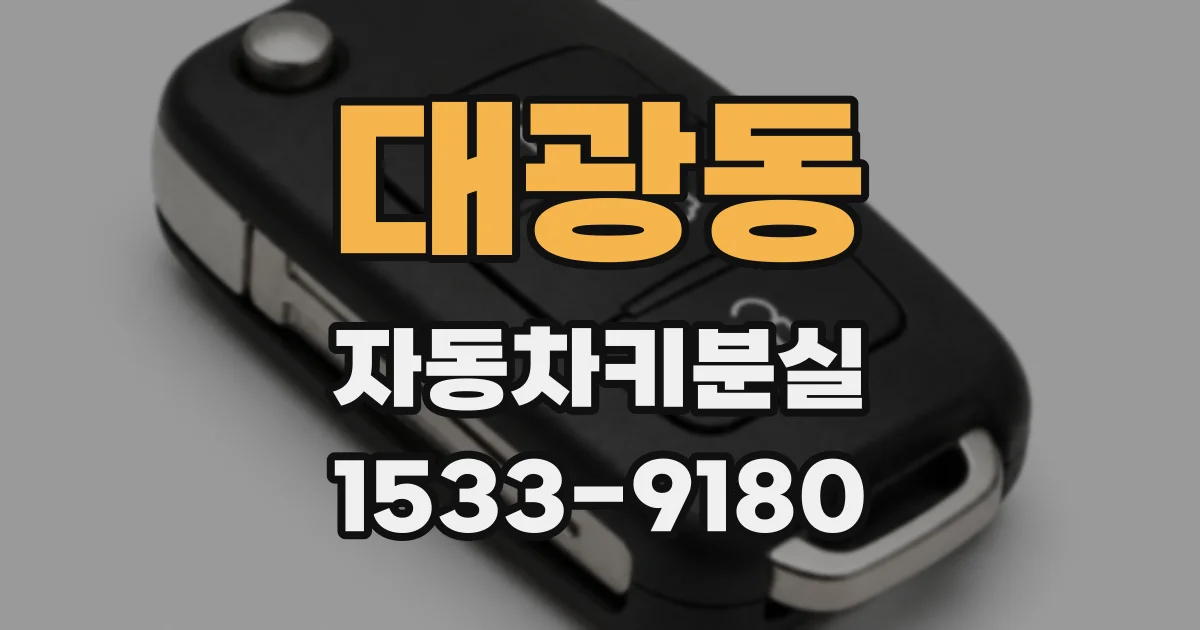 대광동 자동차키분실
