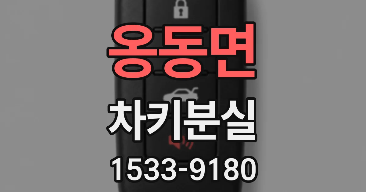 옹동면 차키분실