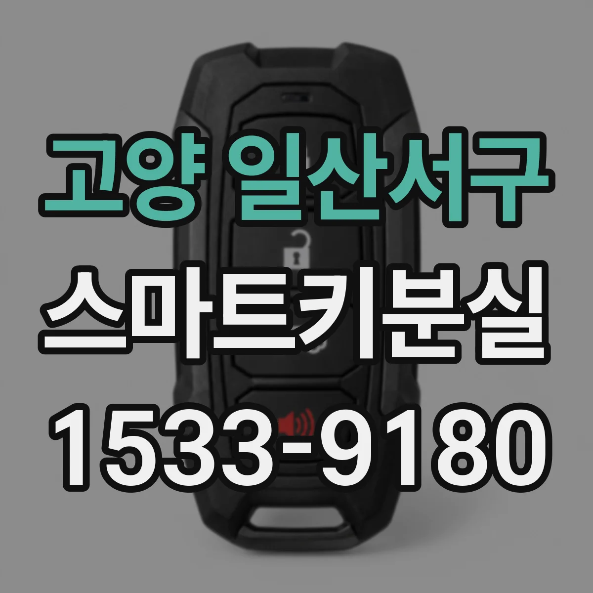 고양 일산서구 스마트키분실
