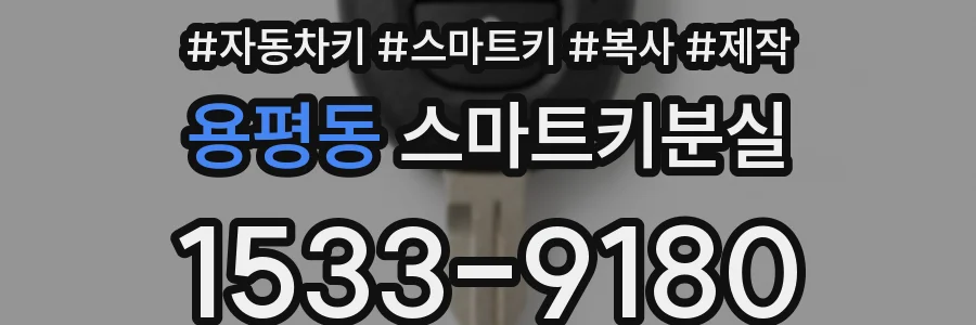 용평동 스마트키분실