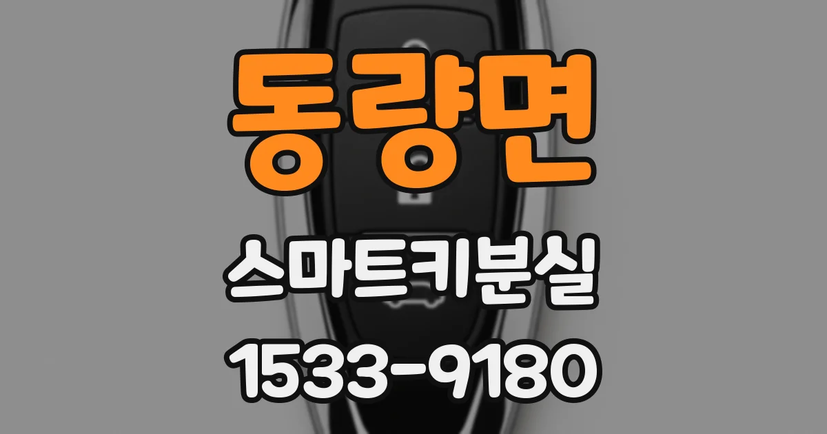 동량면 스마트키분실