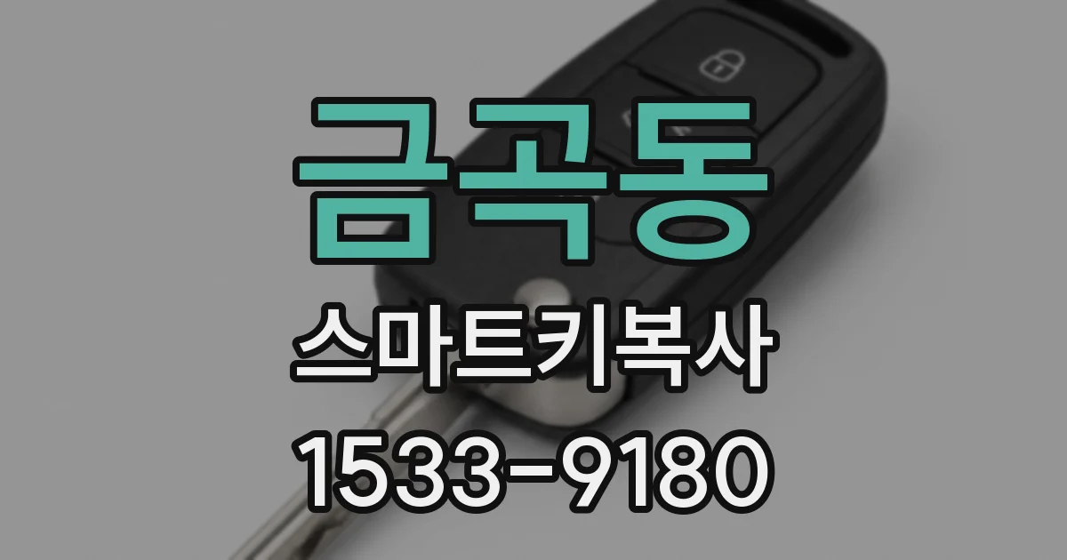 금곡동 스마트키복사