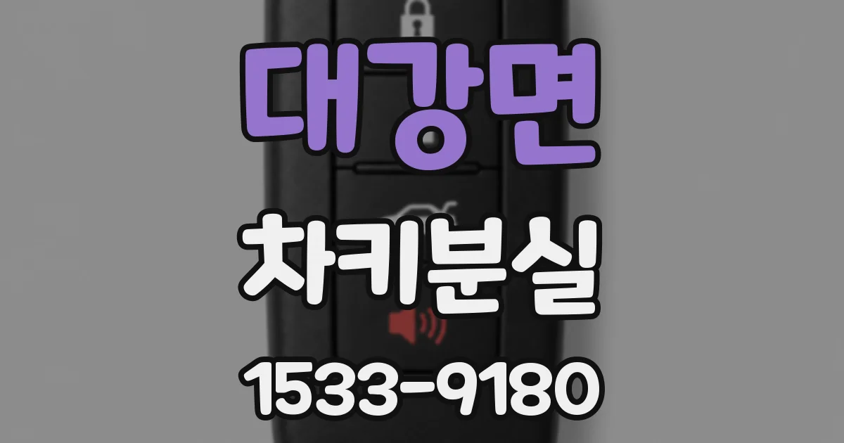 대강면 차키분실