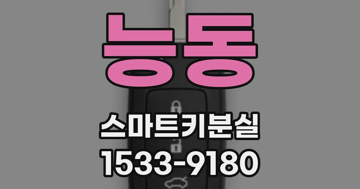 능동 스마트키분실