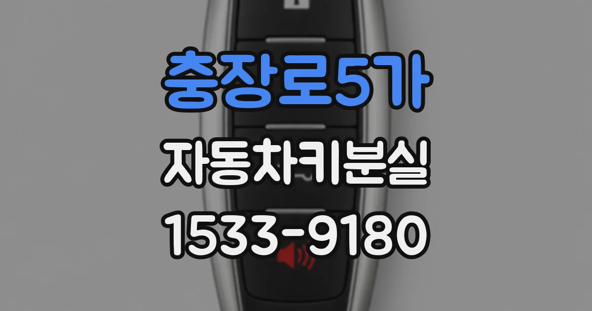 충장로5가 자동차키분실