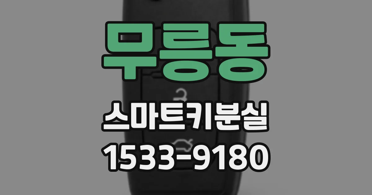 무릉동 스마트키분실