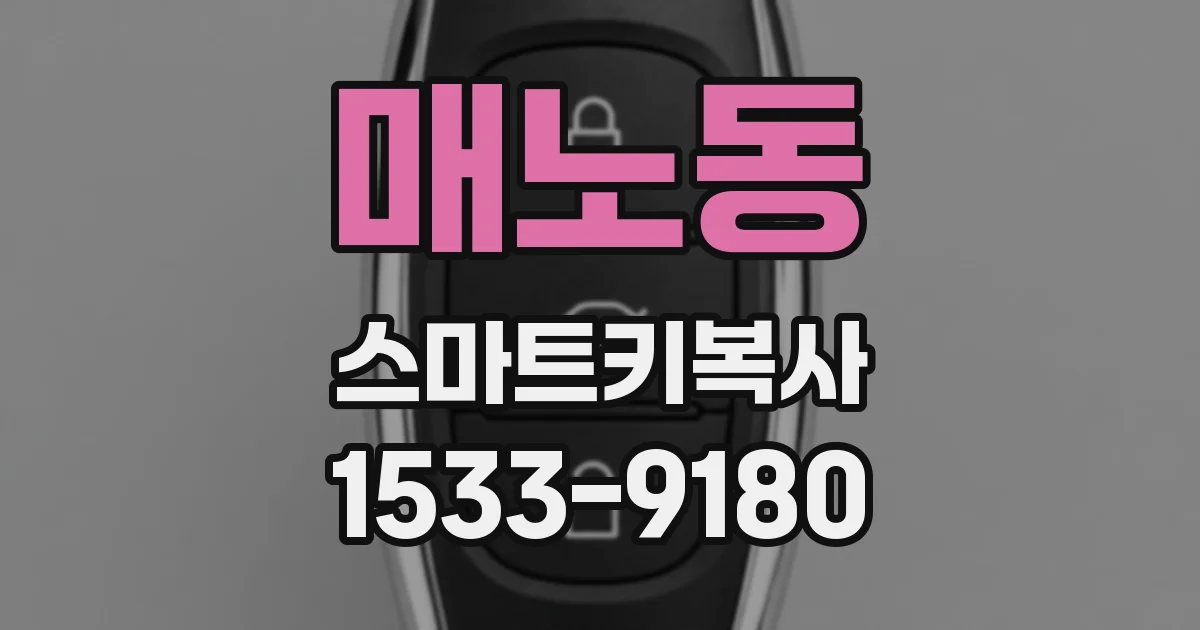 매노동 스마트키복사