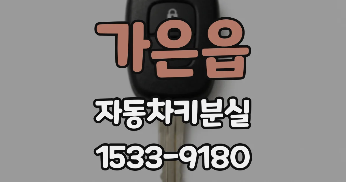 가은읍 자동차키분실
