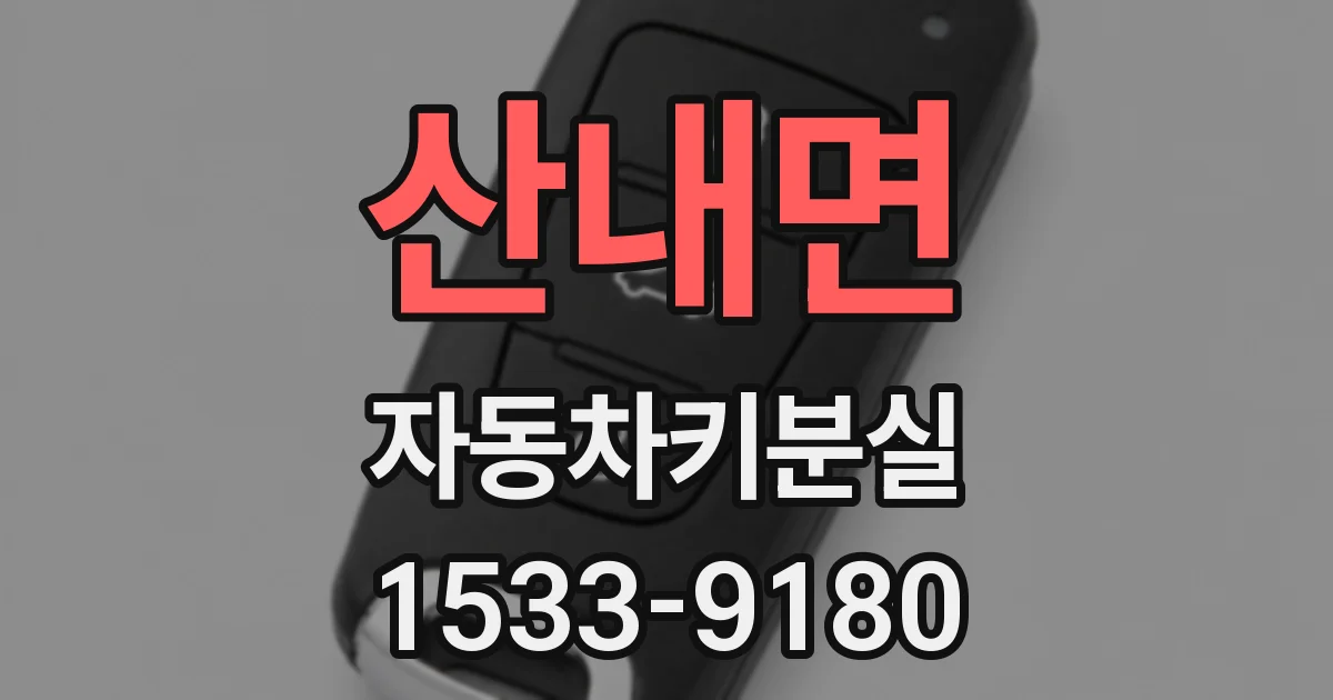 산내면 자동차키분실