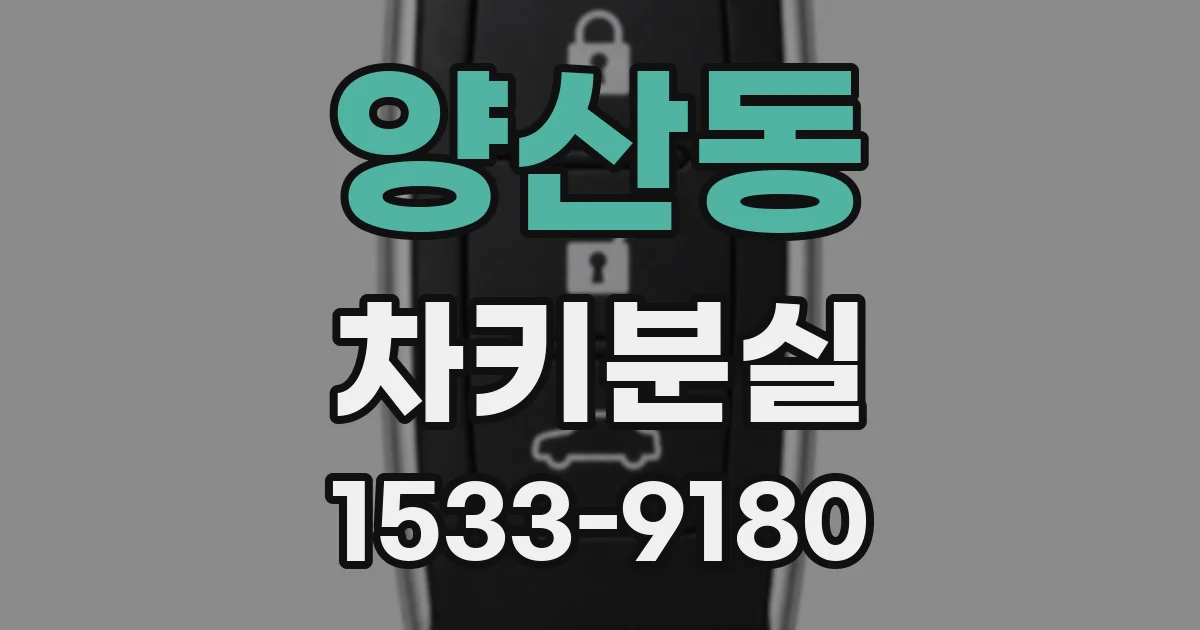 양산동 차키분실