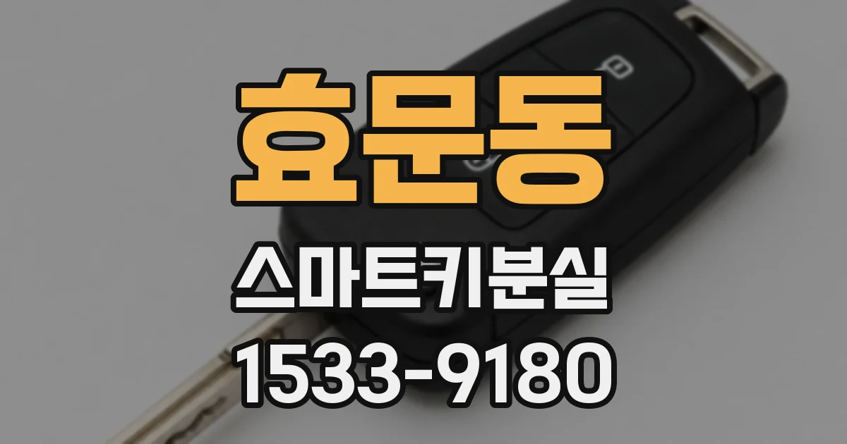 효문동 스마트키분실