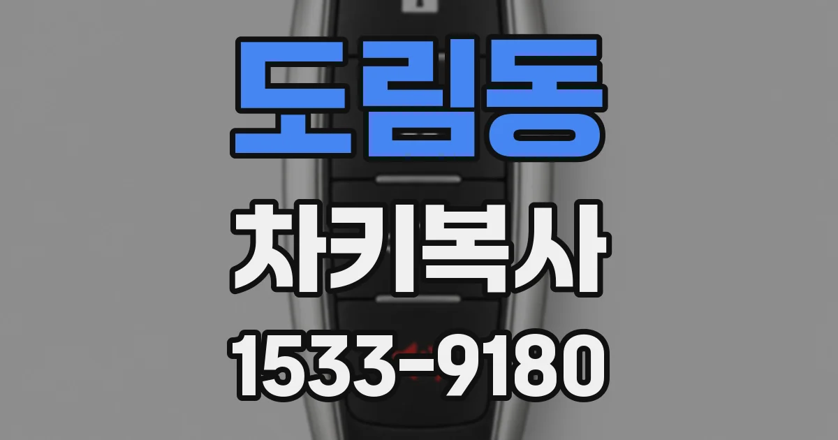 도림동 차키복사