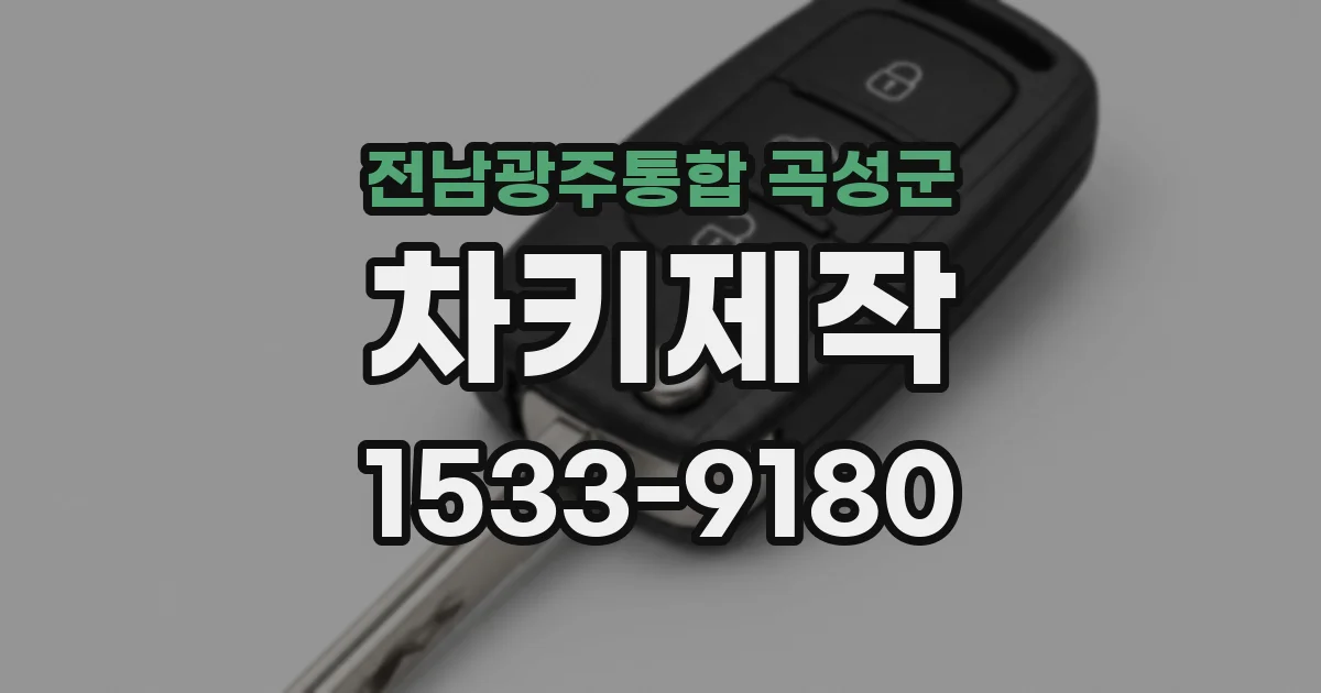 전남광주통합 곡성군 차키제작