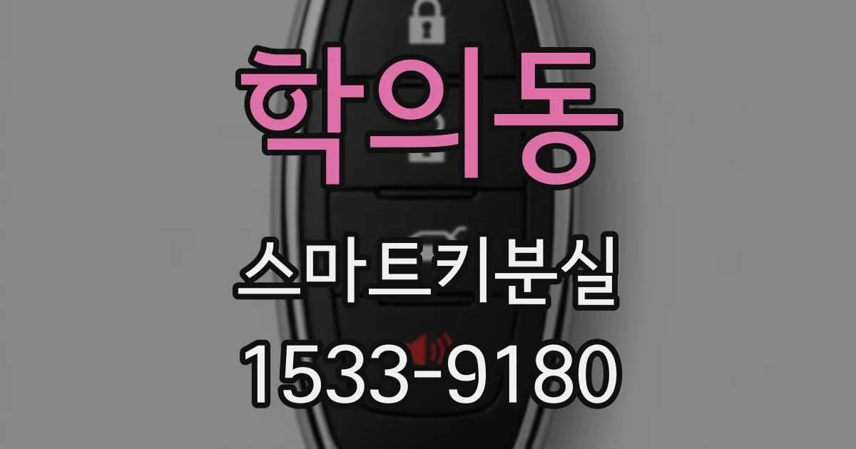 학의동 스마트키분실