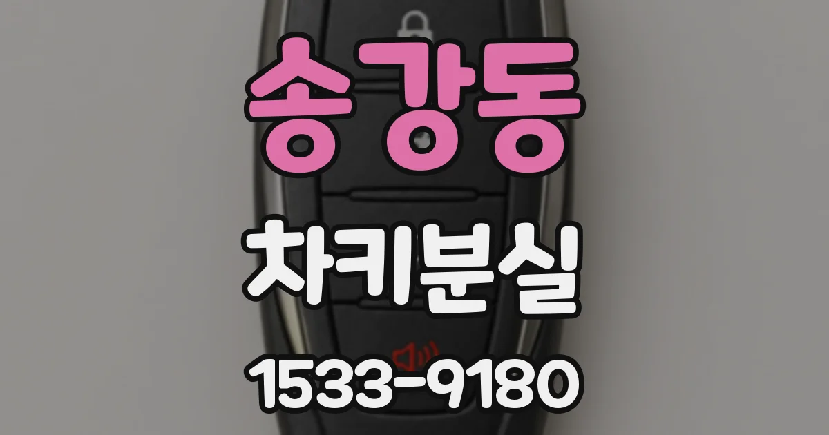 송강동 차키분실