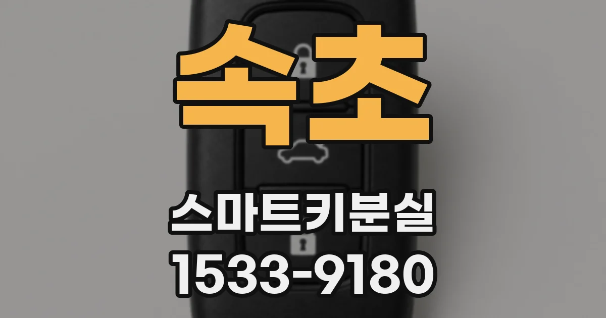 속초 스마트키분실
