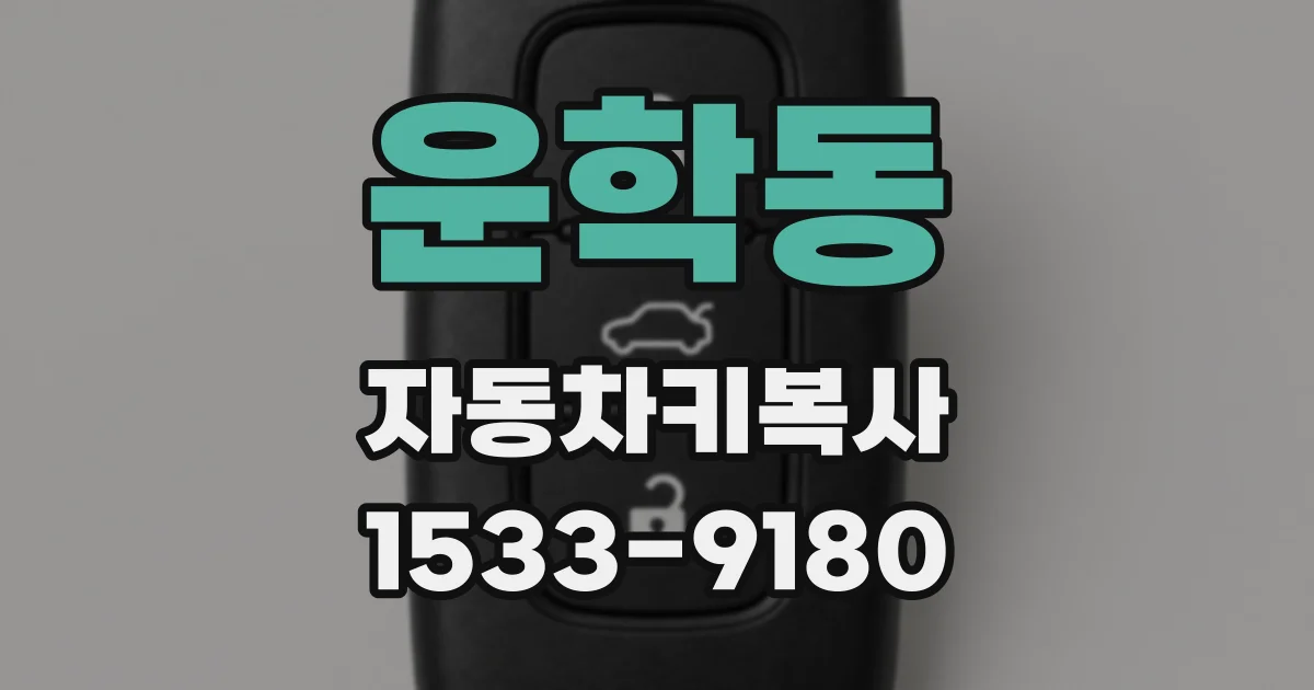 운학동 자동차키복사