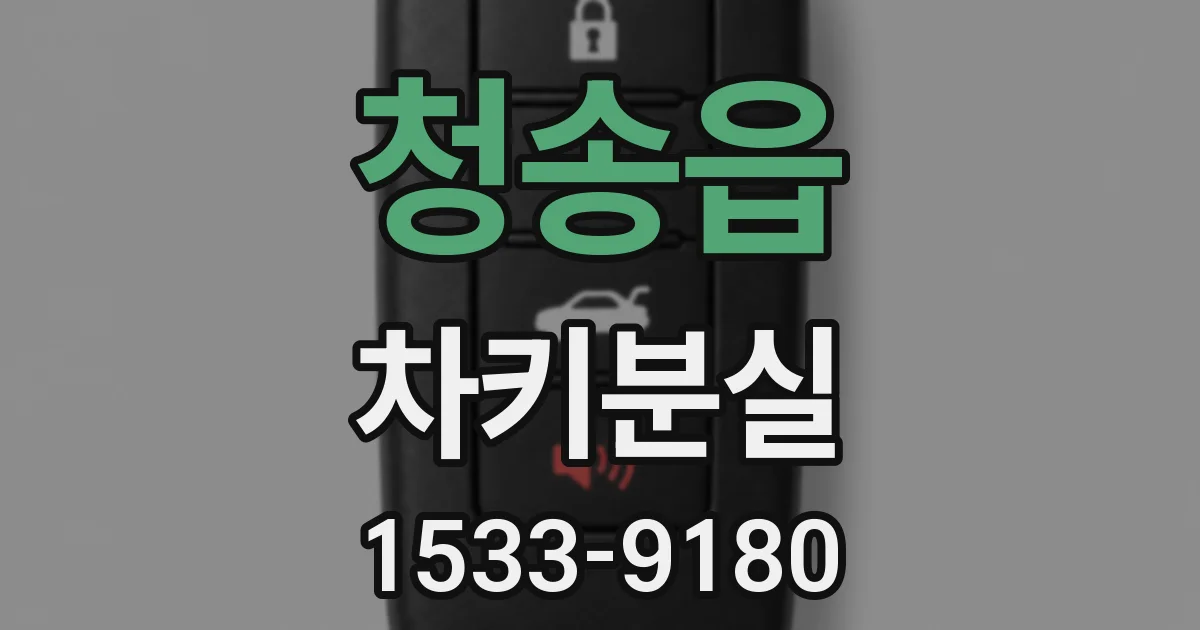 청송읍 차키분실