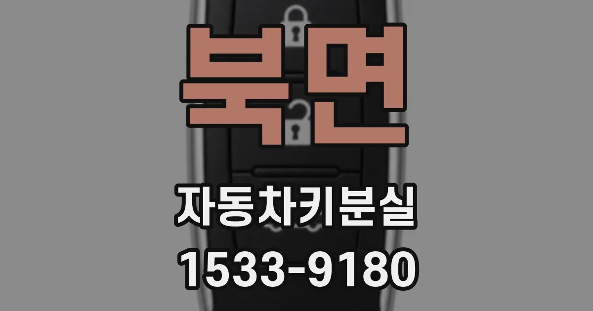 북면 자동차키분실