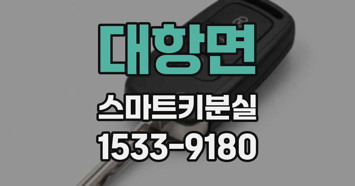 대항면 스마트키분실