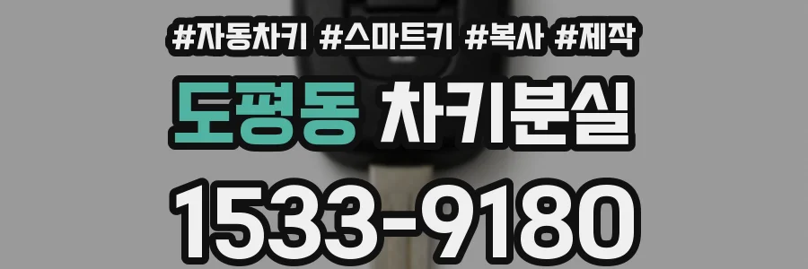 도평동 차키분실