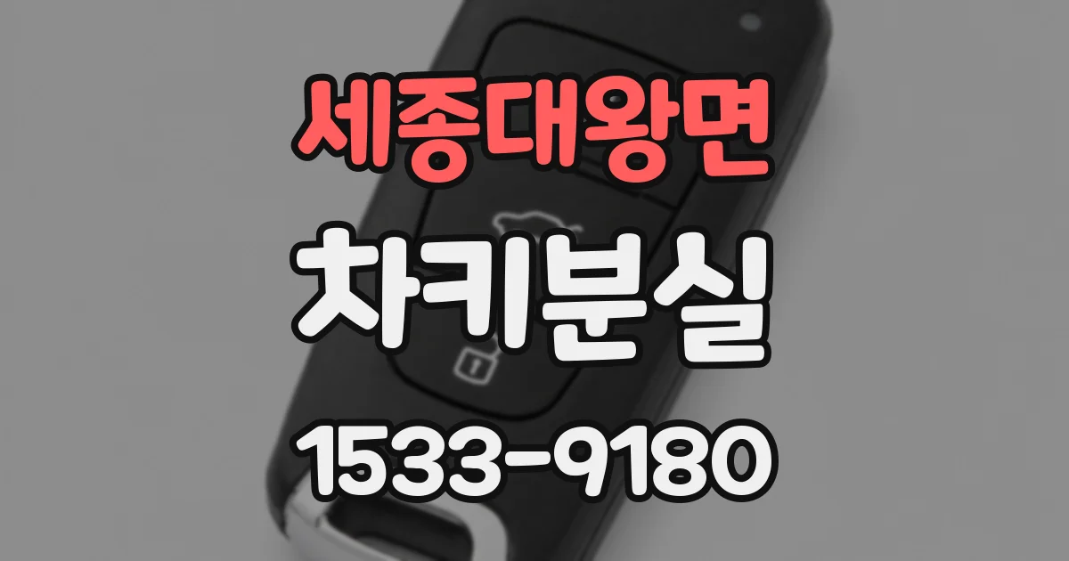 세종대왕면 차키분실