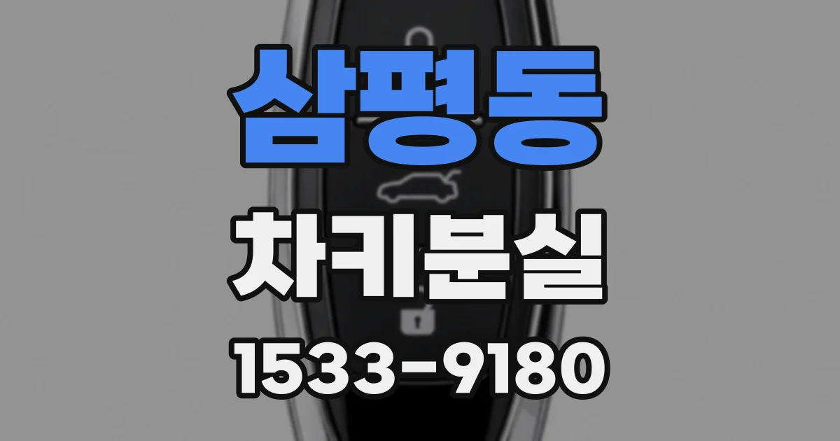 삼평동 차키분실