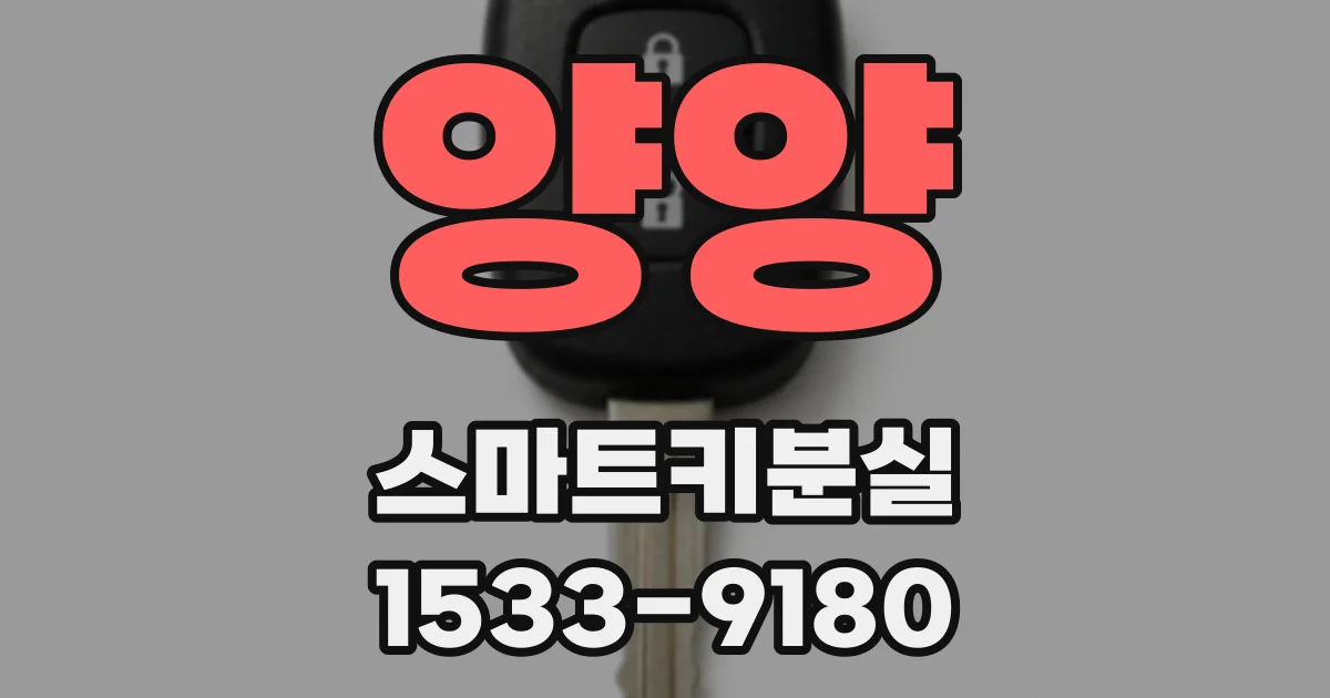양양 스마트키분실