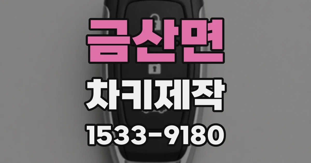 금산면 차키제작