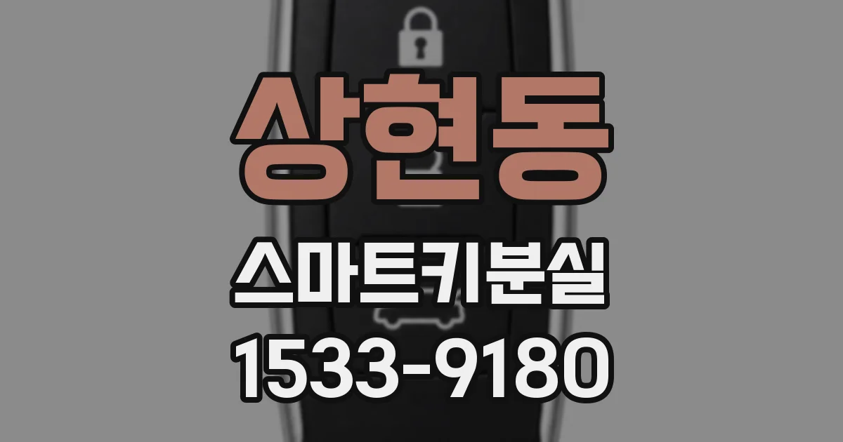 상현동 스마트키분실