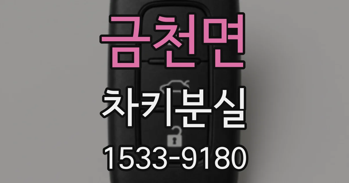 금천면 차키분실