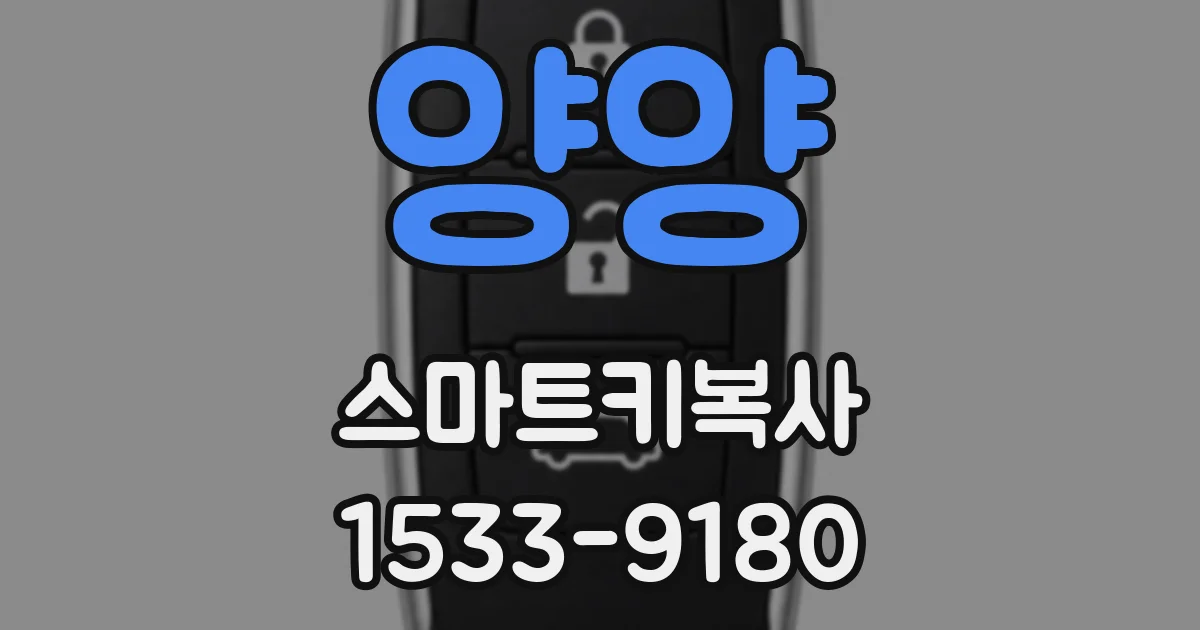 양양 스마트키복사