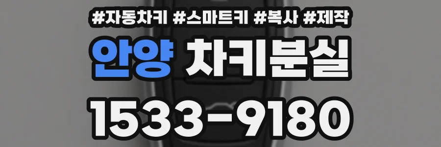 안양 차키분실